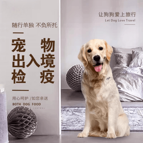 西双版纳宠物托运到哥伦比亚猫狗宠物入境规定和