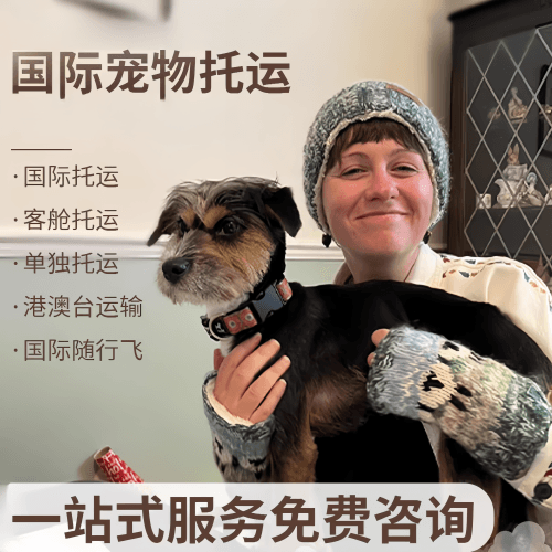 西双版纳国际宠物托运到阿根廷宠物入境规定和要