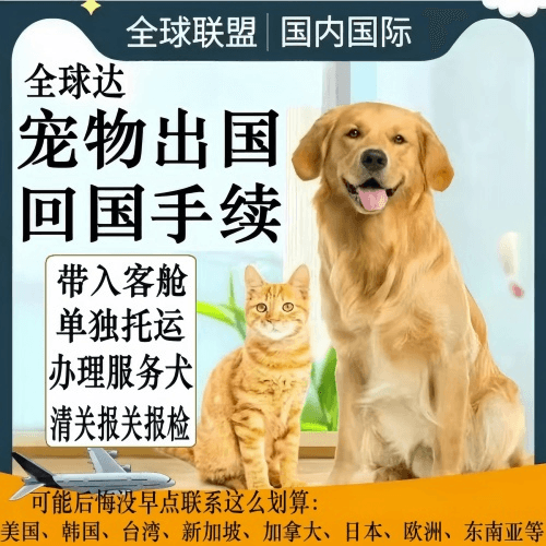 西双版纳宠物托运到柬埔寨宠物入境规定和要求