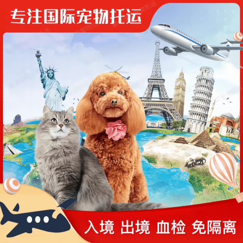 西双版纳宠物托运到美国宠物入境最新规定和要求