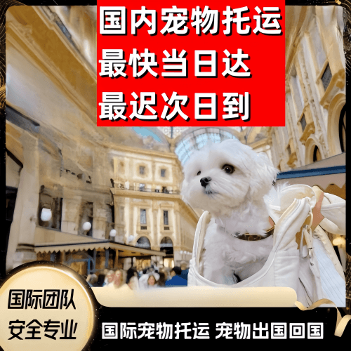 西双版纳到澳大利亚（澳洲）宠物入境规定和要求