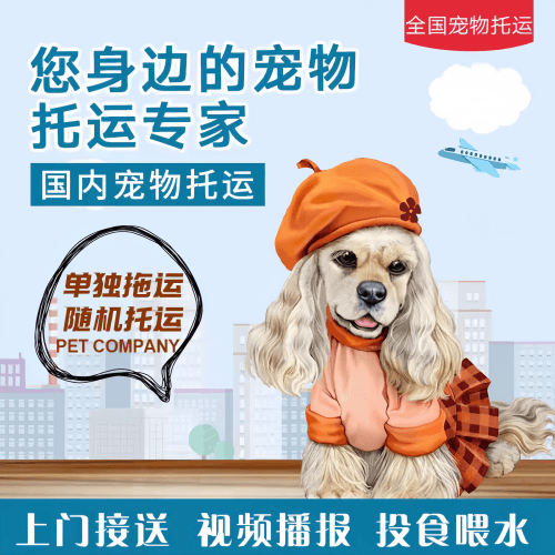满财西双版纳宠物全球达宠物托运作为专业的宠物运输代理机构